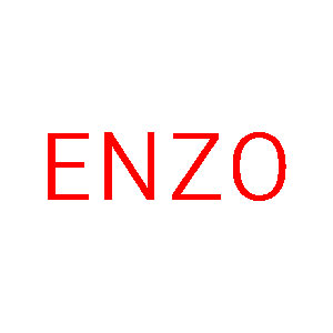 enzo